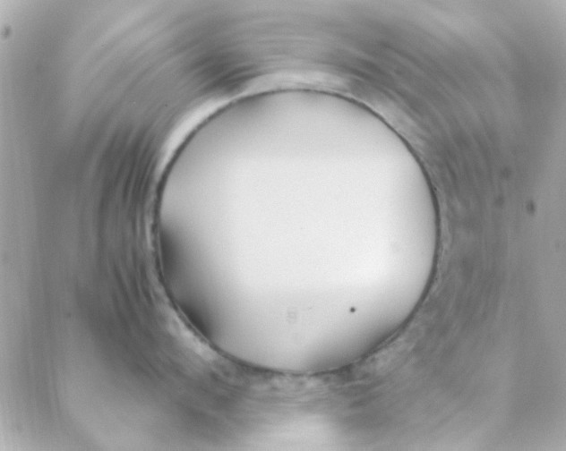 X0000088620912200706151849