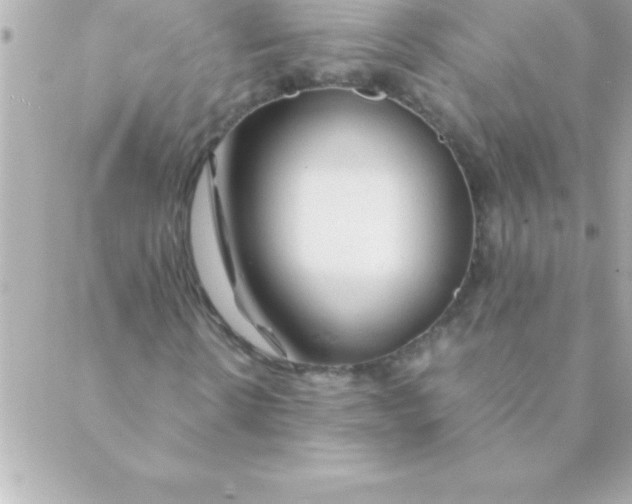 X0000088620914200706151848