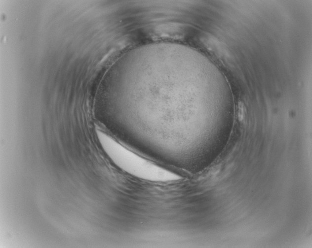 X0000088620915200706151848