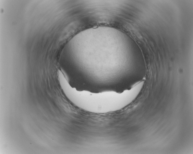 X0000088620916200706151848