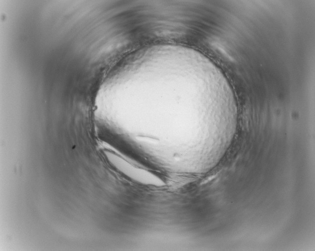 X0000088620917200706151848