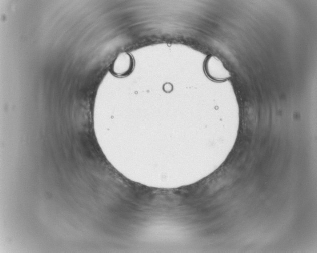 X0000088620918200706151848