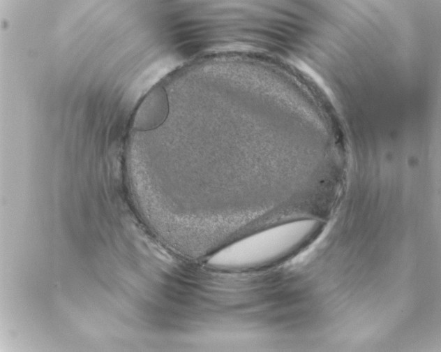 X0000088620921200706151848