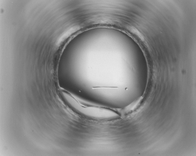 X0000088620922200706151848