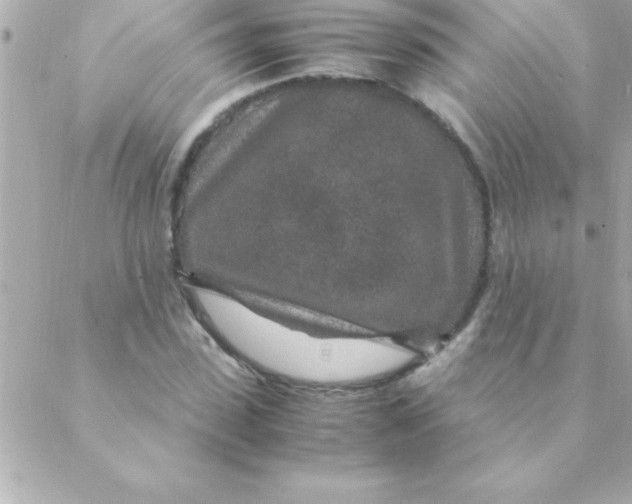 X0000088620923200706151848