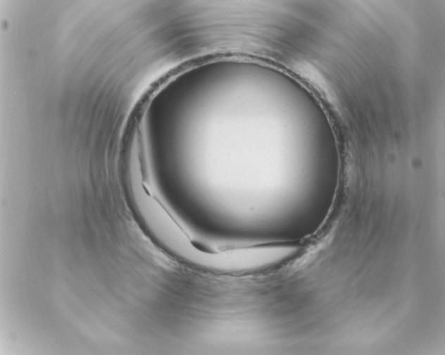 X0000088620924200706151848