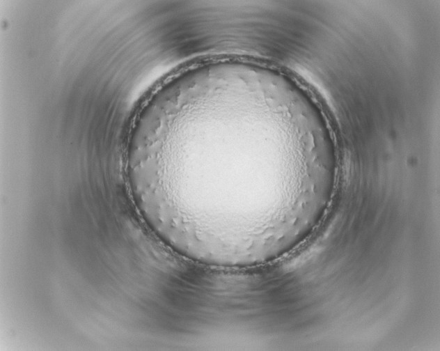 X0000088620925200706151848