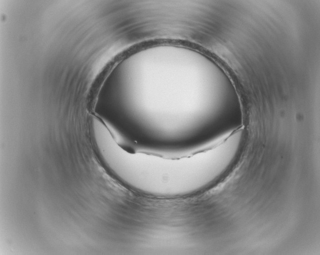 X0000088620926200706151848