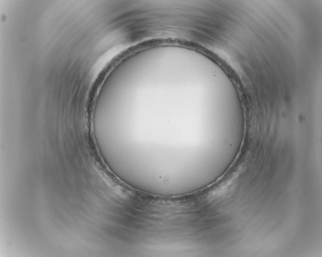 X0000088620927200706151848