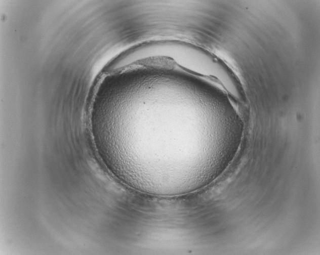 X0000088620928200706151848