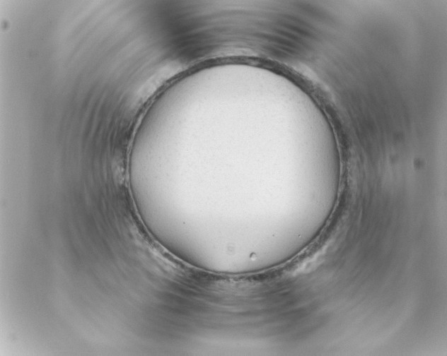 X0000088620929200706151848