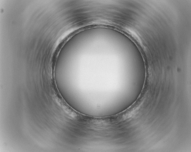 X0000088620931200706151848