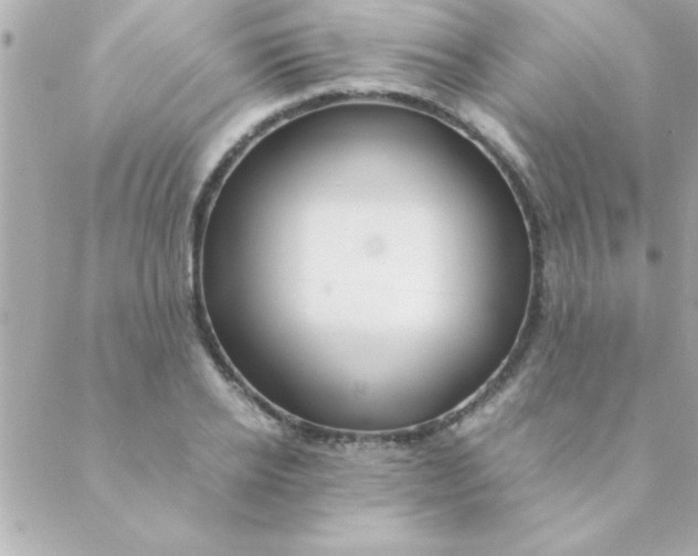 X0000088620934200706151848