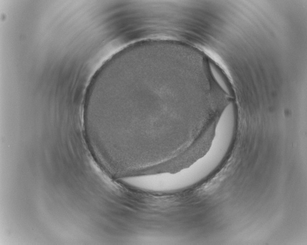 X0000088620935200706151848