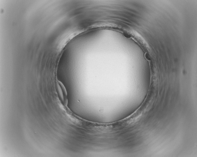 X0000088620937200706151848