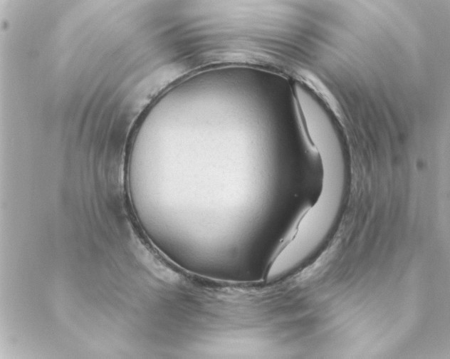 X0000088620938200706151848