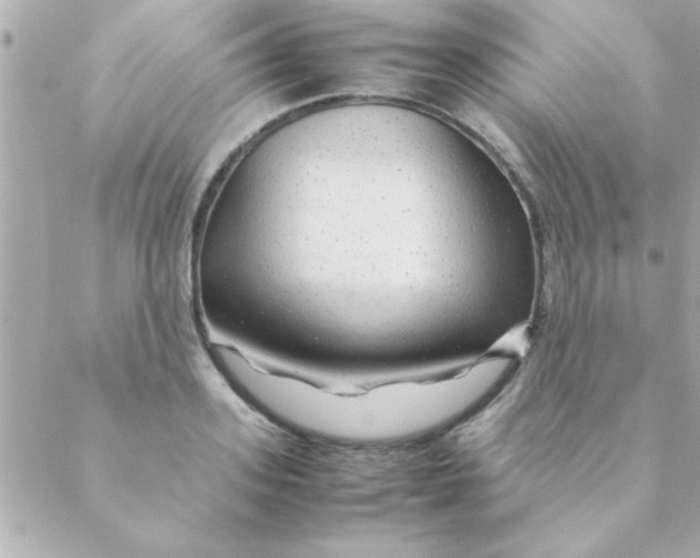 X0000088620939200706151848