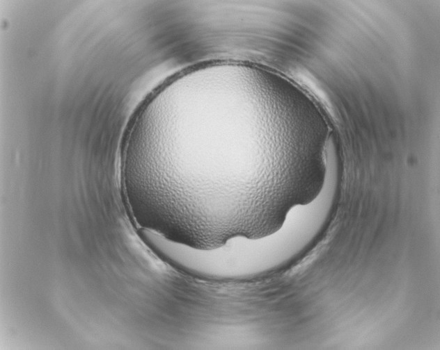 X0000088620940200706151848