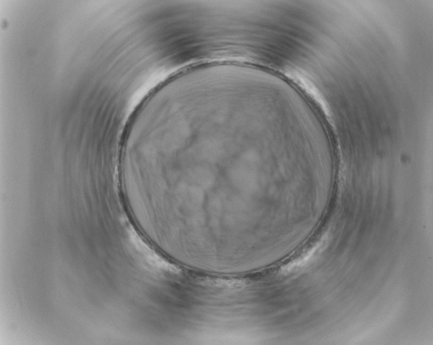 X0000088620941200706151848