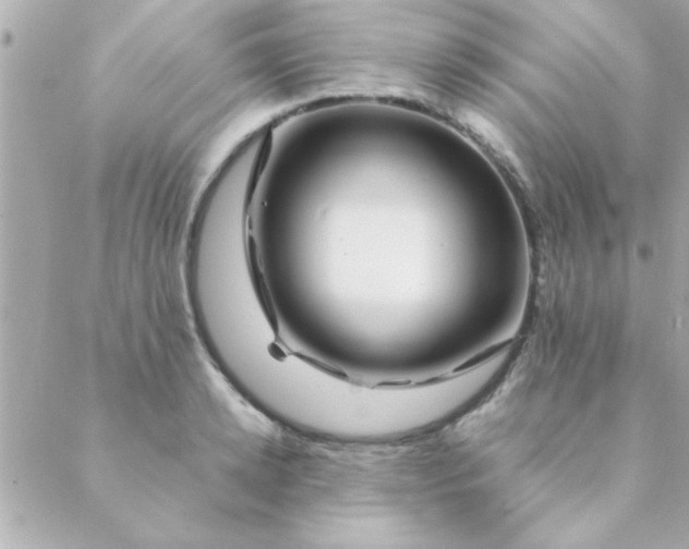 X0000088620942200706151849