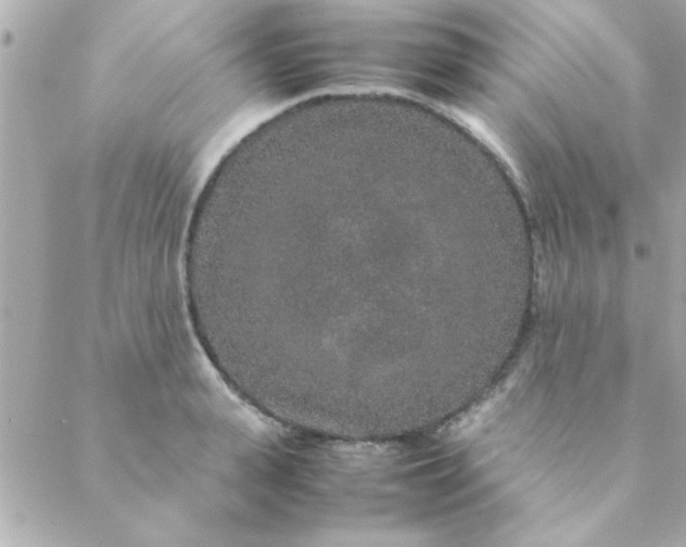 X0000088620943200706151849