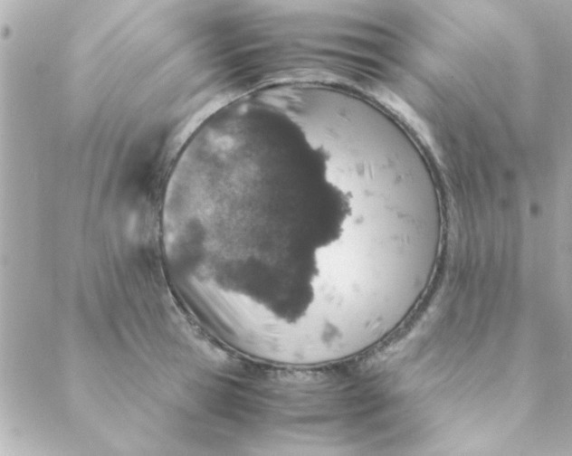 X0000088620945200706151849