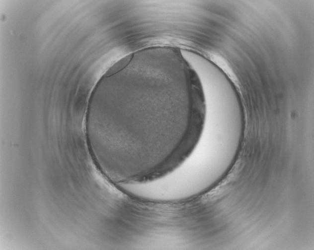 X0000088620946200706151849