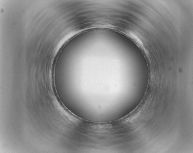 X0000088620947200706151849