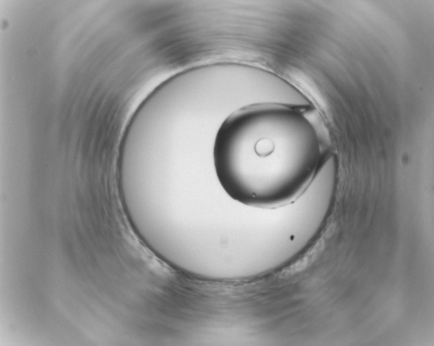 X0000088620948200706151849