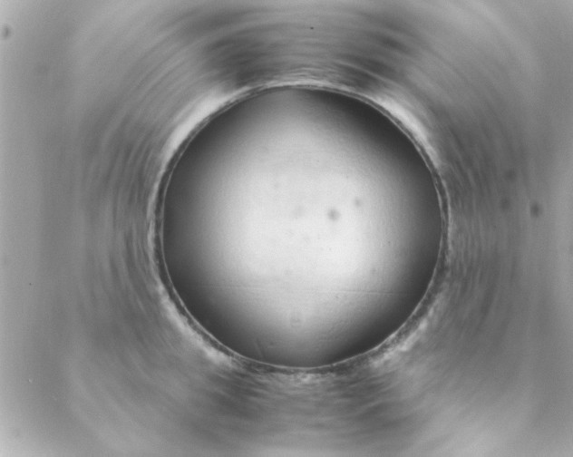 X0000088620949200706151849