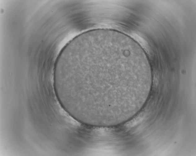 X0000088620950200706151849