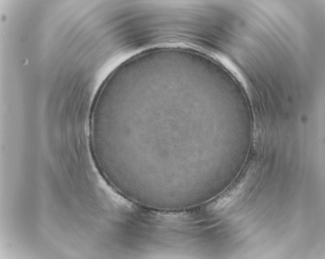 X0000088620951200706151849