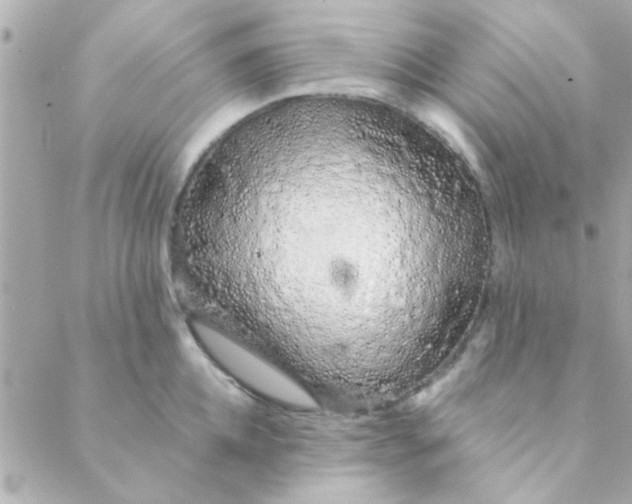 X0000088620952200706151849