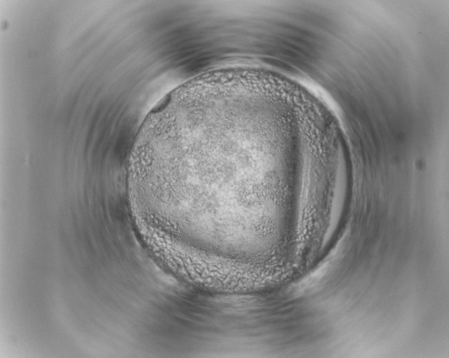 X0000088620953200706151849