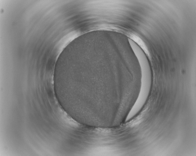 X0000088620954200706151849