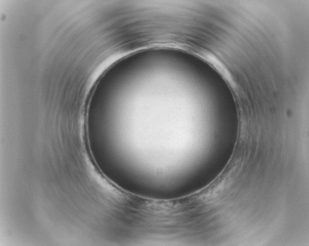 X0000088620955200706151849