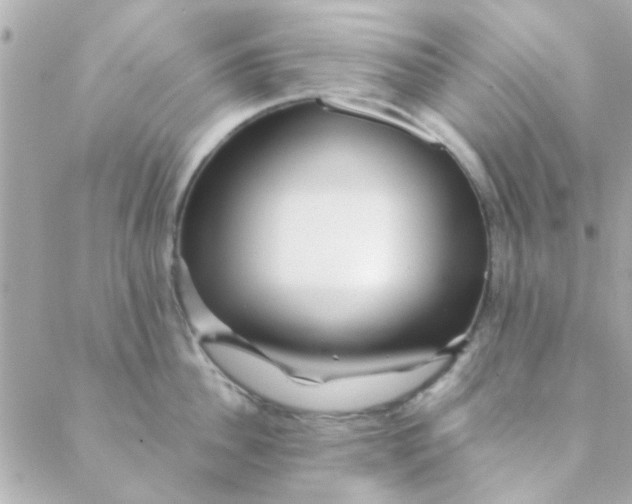 X0000088620956200706151849