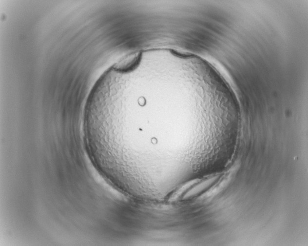 X0000088620957200706151849