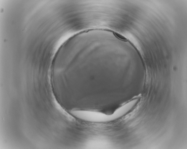 X0000088620958200706151849