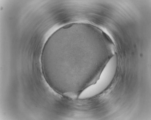 X0000088620959200706151849