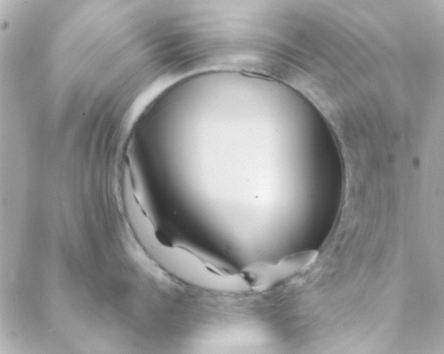 X0000088620960200706151849