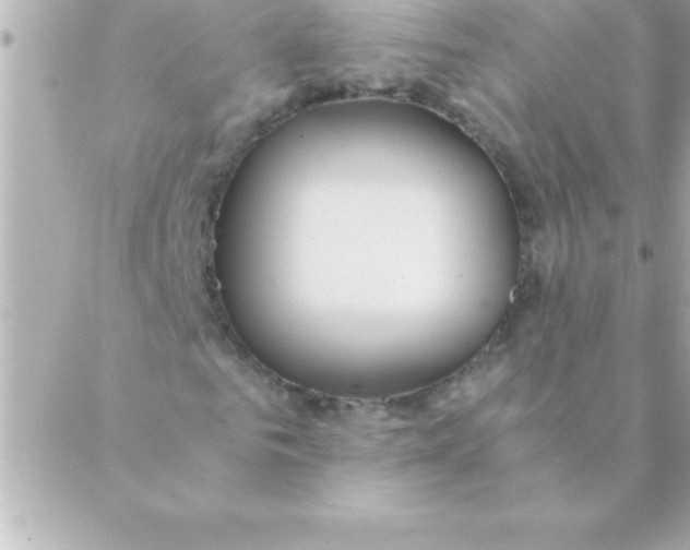 X0000088620961200706151848