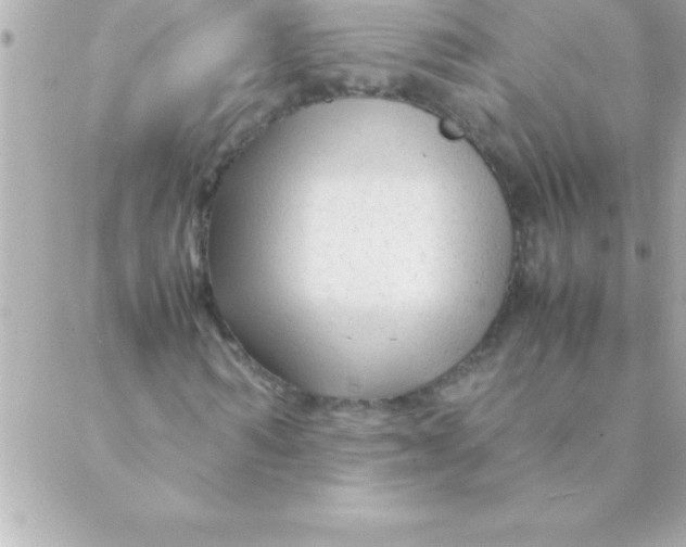 X0000088620962200706151848