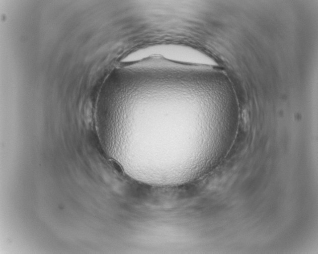 X0000088620963200706151848