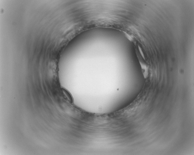 X0000088620964200706151848