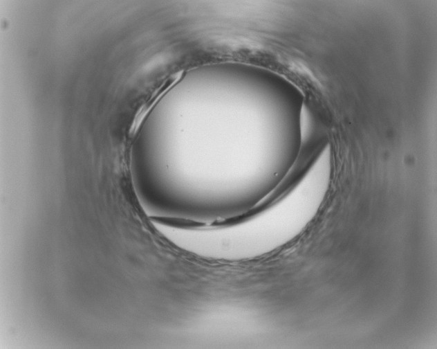 X0000088620965200706151848