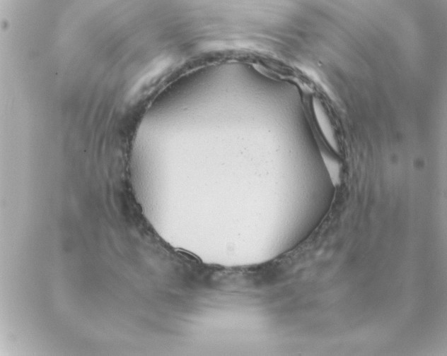 X0000088620967200706151848