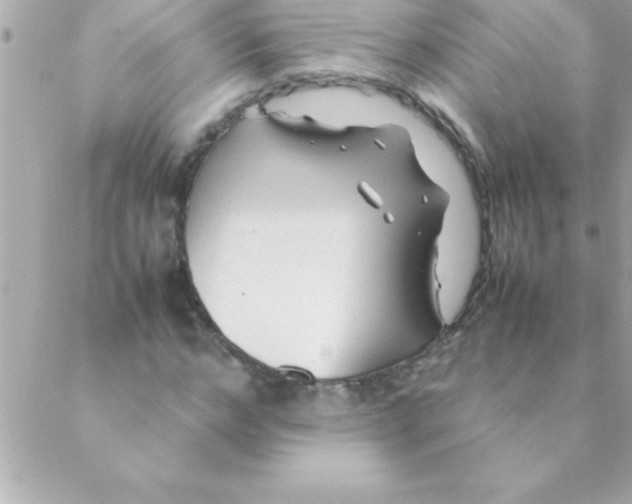 X0000088620968200706151848