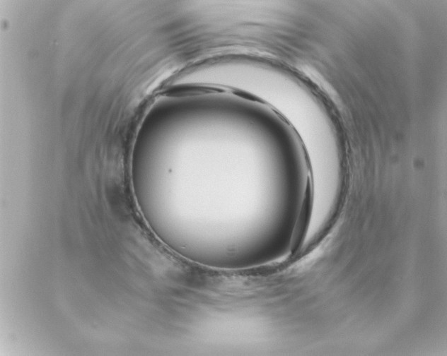 X0000088620969200706151848