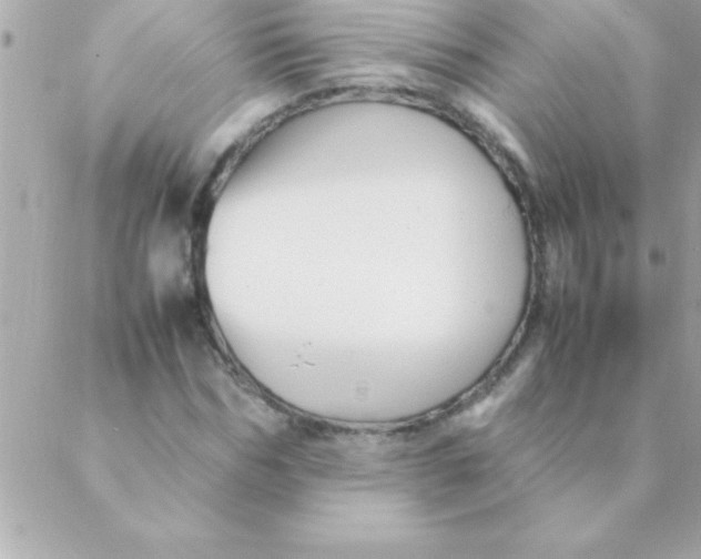 X0000088620970200706151848